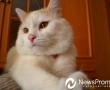 newsprom.ru